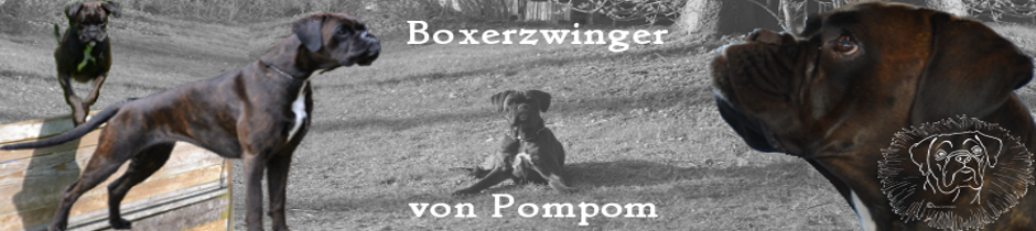 (c) Boxer-von-pompom.de